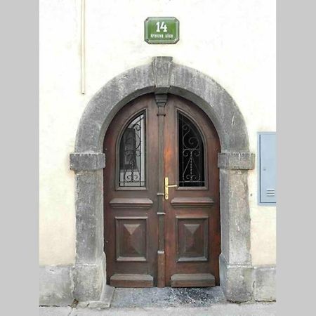Apartmán Old Town 14 Lublaň Exteriér fotografie